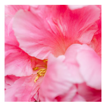 Wie funktionierts? Wie funktionierts?